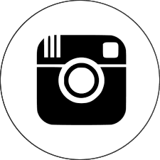 Instagram Icon